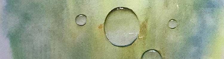 Kirsti Pekkisen Taidenäytely 3-30.9-2024