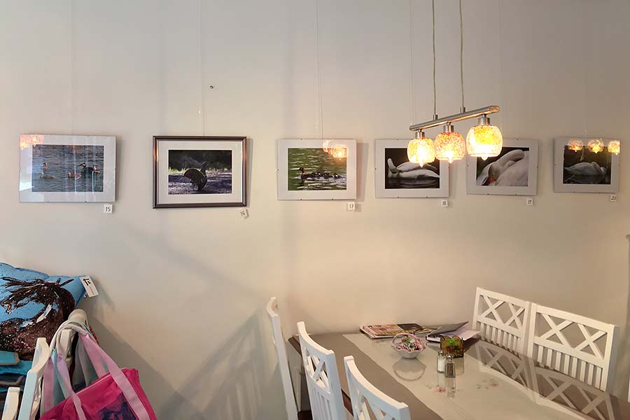 Taidegalleria Kangasniemi Lounas ja Leipä